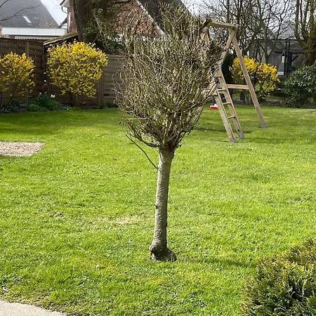 Daire Feriengarten-buesum-a04 Büsum